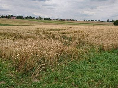 Sprzedam dużą działkę przemysłową w Werbkowicach