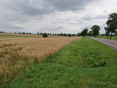 Sprzedam dużą działkę przemysłową w Werbkowicach