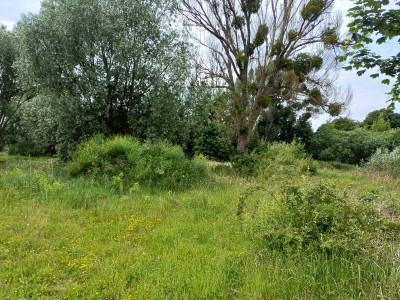 Sprzedam działkę przemysłową w Malborku