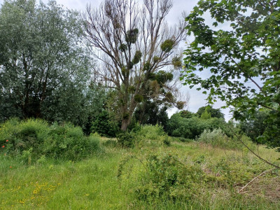 Sprzedam działkę przemysłową w Malborku