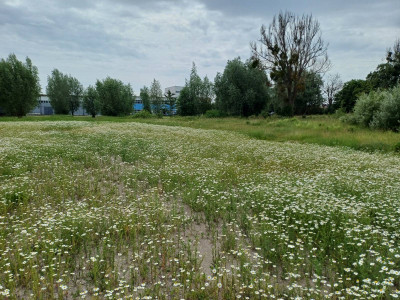 Sprzedam działkę w Malborku