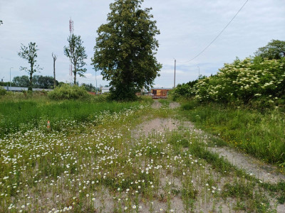 Sprzedam działkę w Malborku