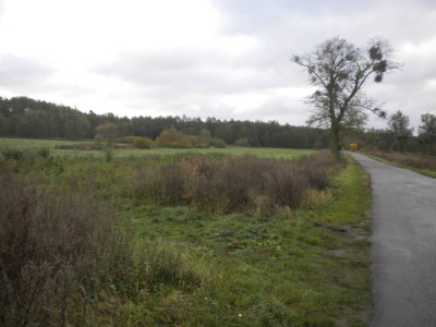 Wynajmę grunty pod OZE