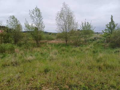 Sprzedam nieruchomość w Leźnie, gm. Żukowo