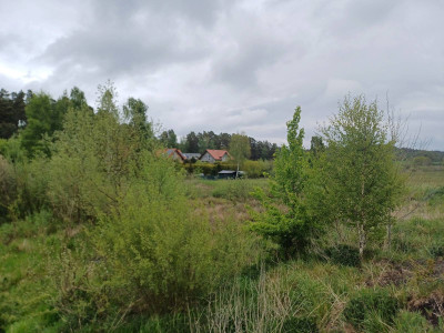 Sprzedam nieruchomość w Leźnie, gm. Żukowo