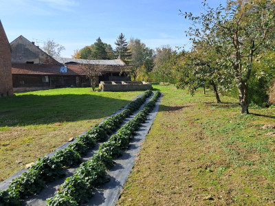 Sprzedam nieruchomość rolną wraz z istniejącymi budynkami