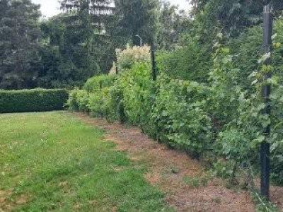 Sprzedam nieruchomość rolną wraz z istniejącymi budynkami