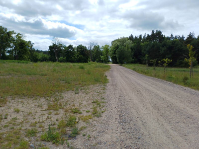 Działka budowlana - Trzcińsk