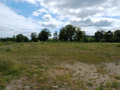 Działka budowlana - Trzcińsk