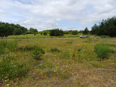 Działka budowlana - Trzcińsk