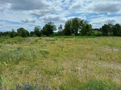 Działka budowlana - Trzcińsk