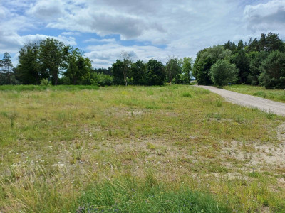 Działka budowlana - Trzcińsk