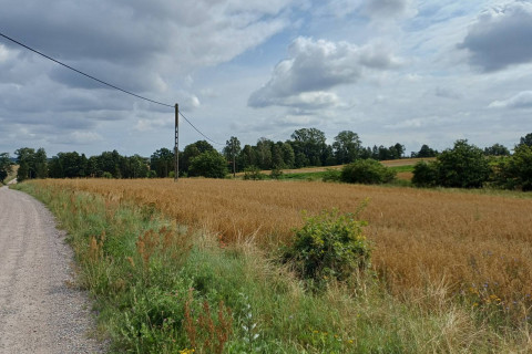 Sprzedam działkę budowlaną w Żukowie