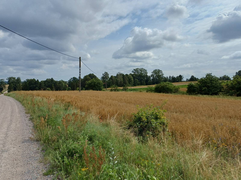 Sprzedam działkę budowlaną w Żukowie