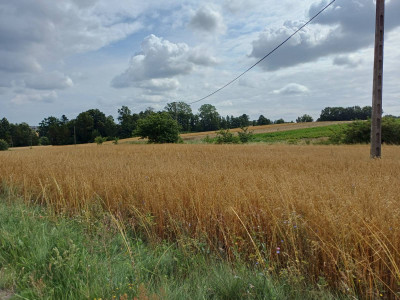Sprzedam działkę budowlaną w Żukowie
