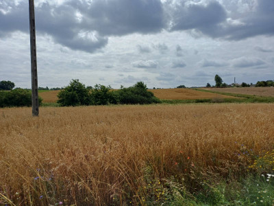 Sprzedam działkę budowlaną w Żukowie
