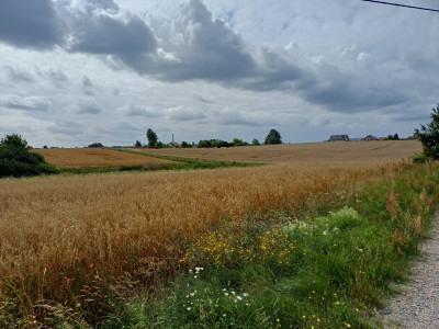 Sprzedam działkę budowlaną w Żukowie