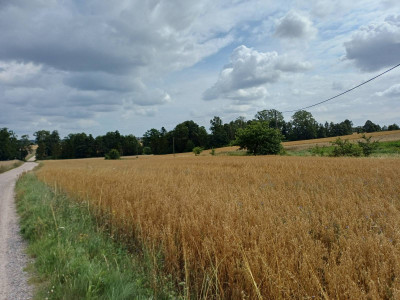 Sprzedam działkę budowlaną w Żukowie