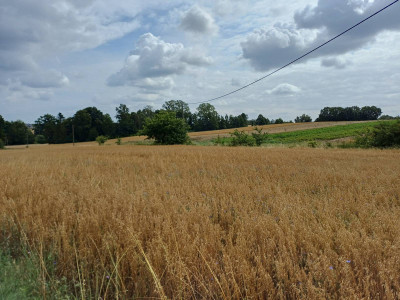 Sprzedam działkę budowlaną w Żukowie