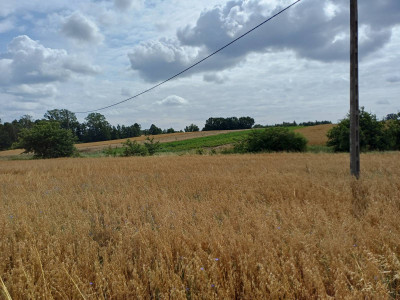 Sprzedam działkę budowlaną w Żukowie