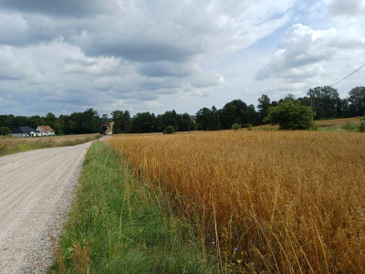 Sprzedam działkę budowlaną w Żukowie