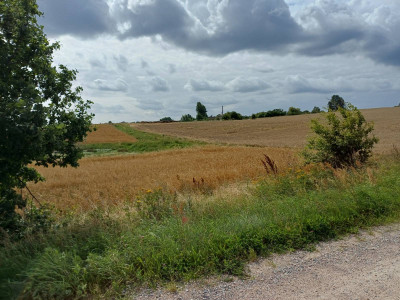 Sprzedam działkę budowlaną w Żukowie