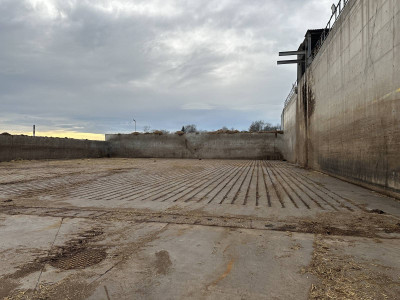 Syndyk sprzeda nieruchomości - Panoszów