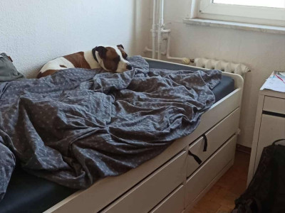 NOWA CENA! TARGÓWEK, 3 pokoje, 55 metrów, Heleny Junkiewicz, blisko metra, do remontu! POŚREDNIKOM DZIĘKUEMY!