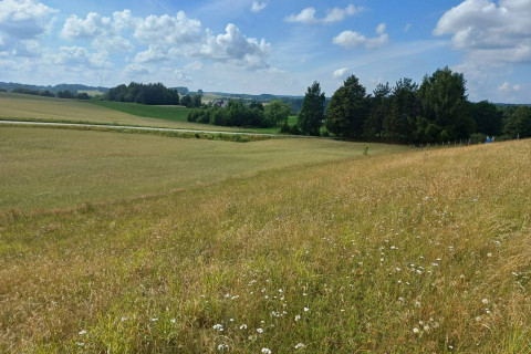 Działka budowlana w Borzestowskiej Hucie