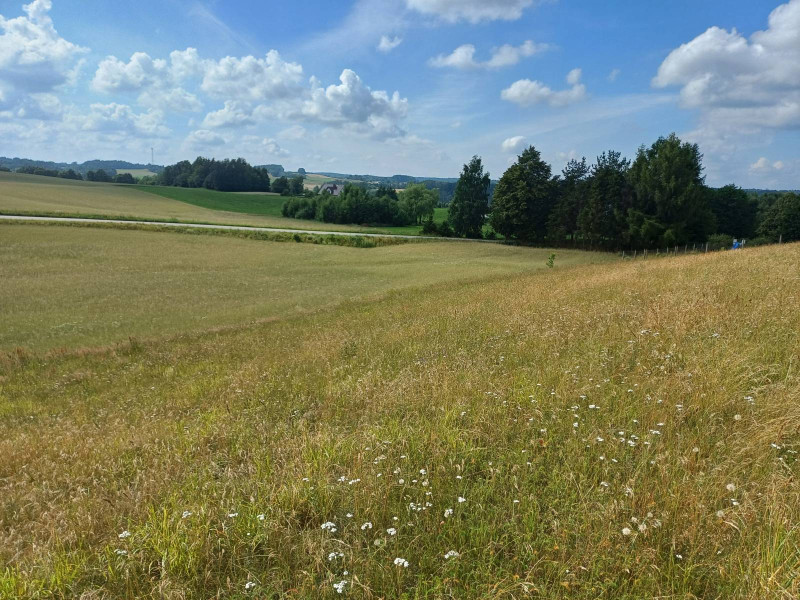 Działka budowlana w Borzestowskiej Hucie