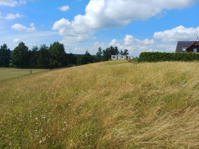 Działka budowlana w Borzestowskiej Hucie