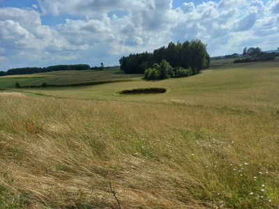 Działka budowlana w Borzestowskiej Hucie