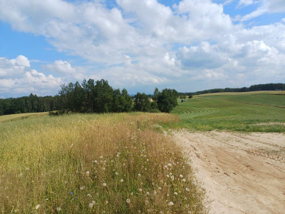 Działka budowlana w Borzestowskiej Hucie
