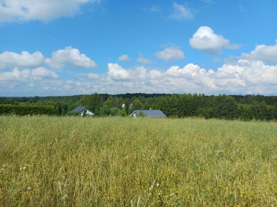 Działka budowlana w Borzestowskiej Hucie