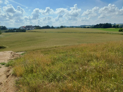 Działka budowlana w Borzestowskiej Hucie
