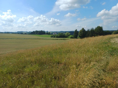 Działka budowlana w Borzestowskiej Hucie