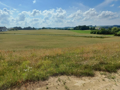 Działka budowlana w Borzestowskiej Hucie