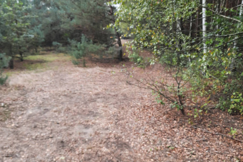 sprzedam działkę Lubatów kuj. pomorskie