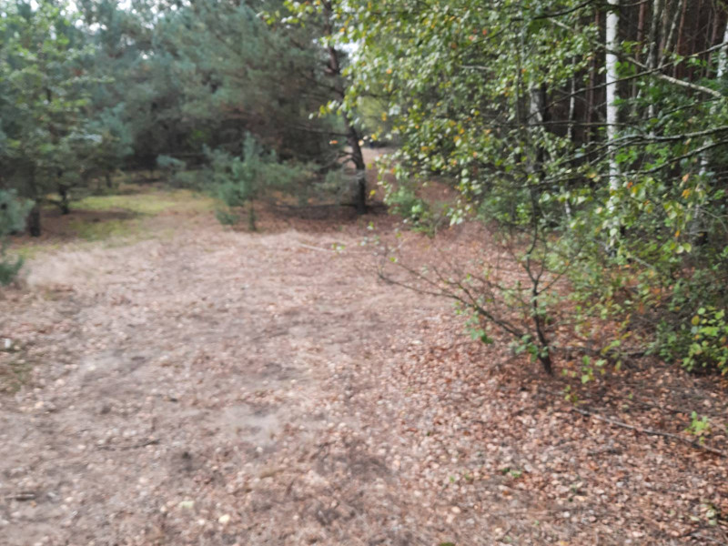 sprzedam działkę Lubatów kuj. pomorskie