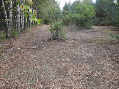 sprzedam działkę Lubatów kuj. pomorskie