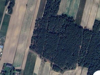 Działka na sprzedaż rolno- budowlana z lasem