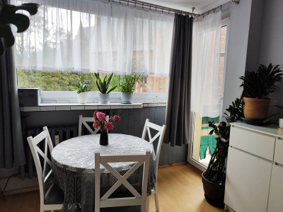 3 pokoje w centrum miasta 53m2 - bez pośredników