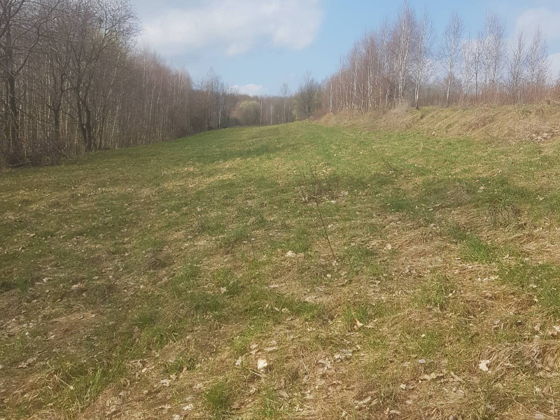 Sprzedam ładną dużą działkę