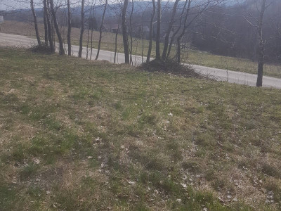 Sprzedam ładną dużą działkę