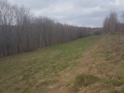 Sprzedam ładną dużą działkę