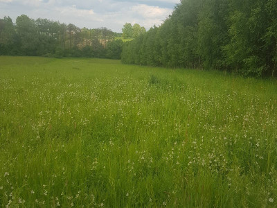 Sprzedam ładną dużą działkę