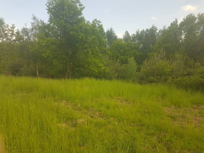 Sprzedam ładną dużą działkę