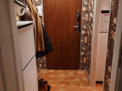 Bezpośrednio Azory 2 pok umeblowane zadbane wynajem, od 01.11