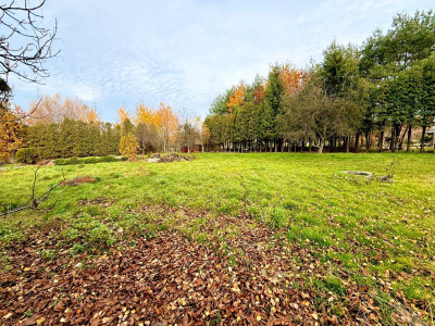 Blisko miasta, daleko od hałasu – działka, jakiej szukasz!