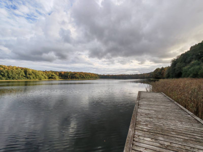 Dom na sprzedaż z garażem i dużą działką nad jeziorem – 55 m² powierzchni użytkowej, działka 532 m²
